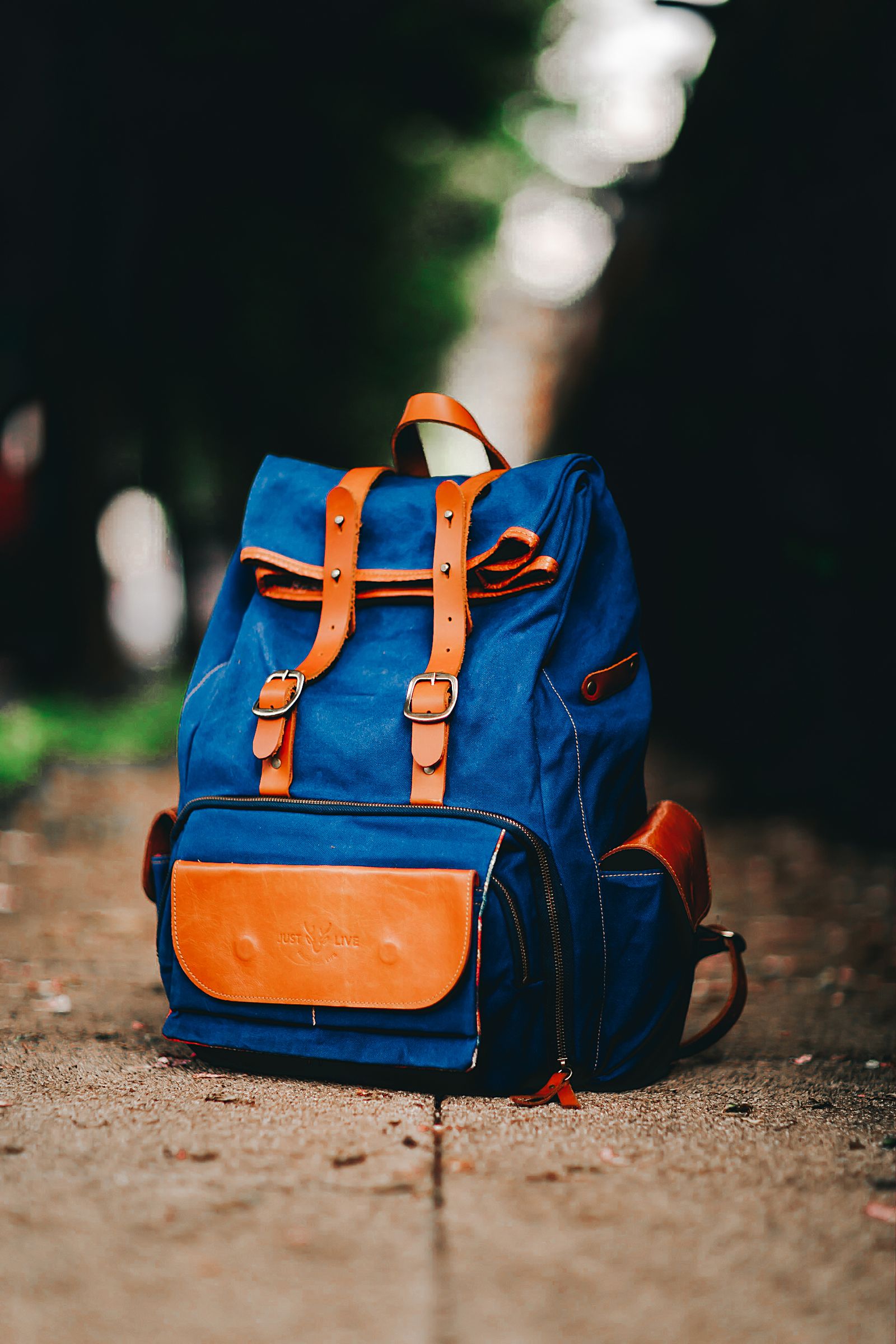 Two-Tone Travel Backpack
